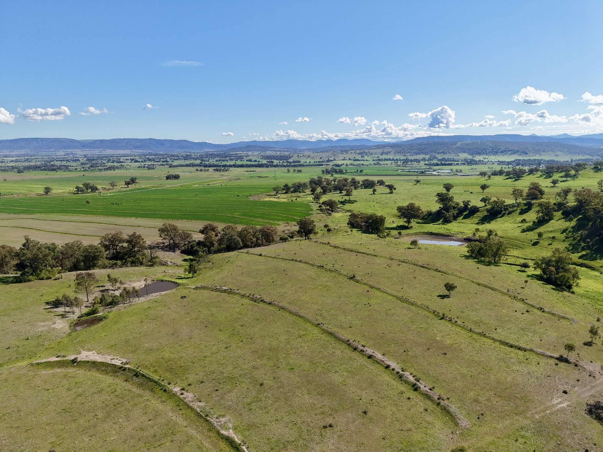 "Parkville Farms" Smiths Road, Parkville For Sale by Farmbuy.com - image 9