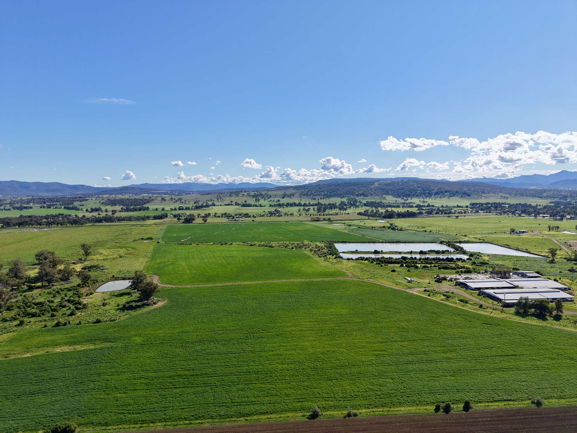 "Parkville Farms" Smiths Road, Parkville For Sale by Farmbuy.com - image 14