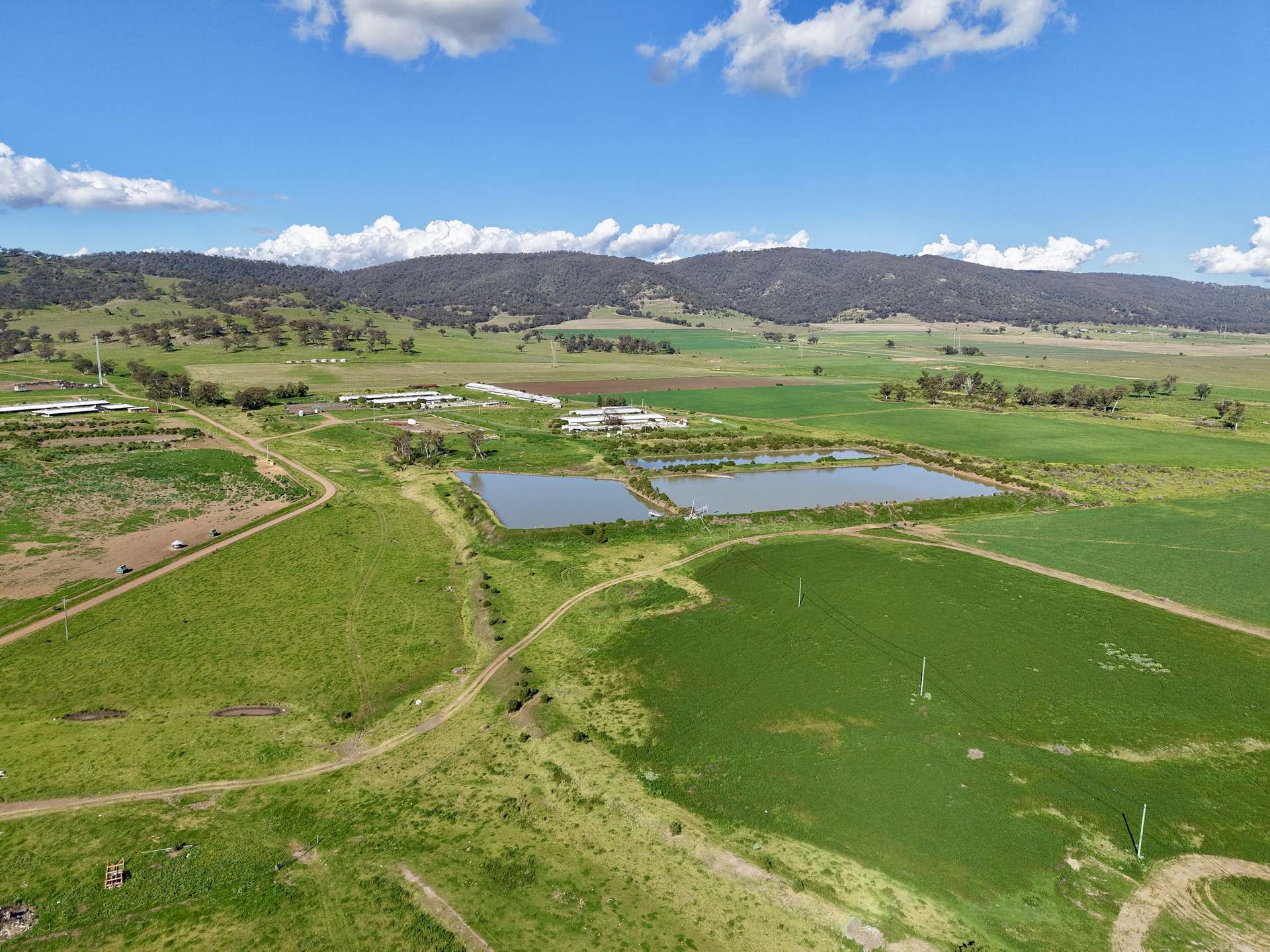 "Parkville Farms" Smiths Road, Parkville For Sale by Farmbuy.com - image 17