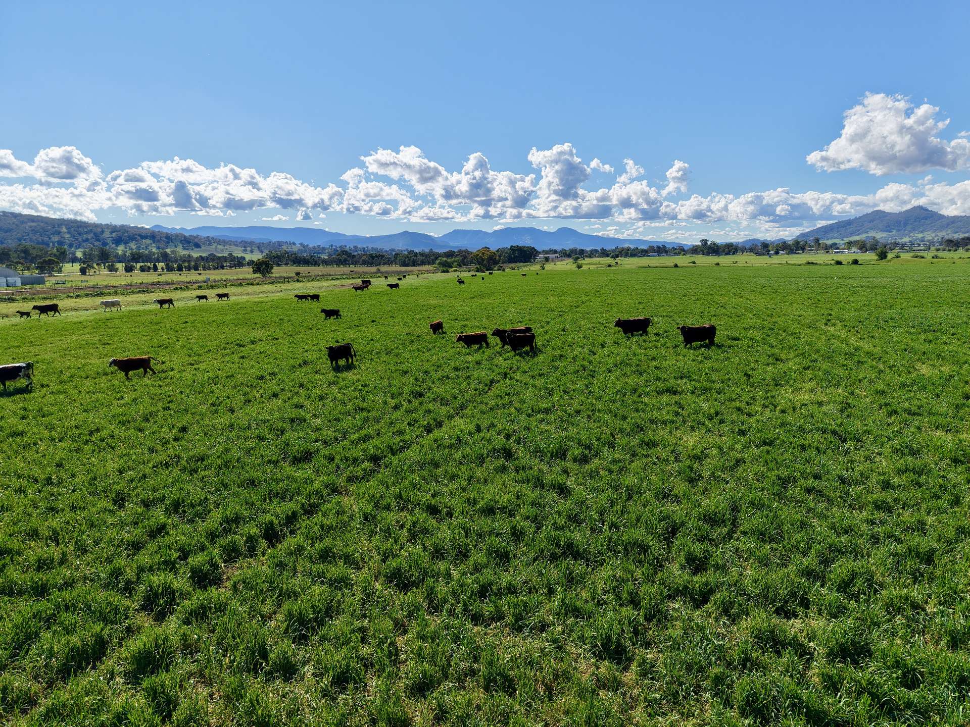 "Parkville Farms" Smiths Road, Parkville For Sale by Farmbuy.com - image 12