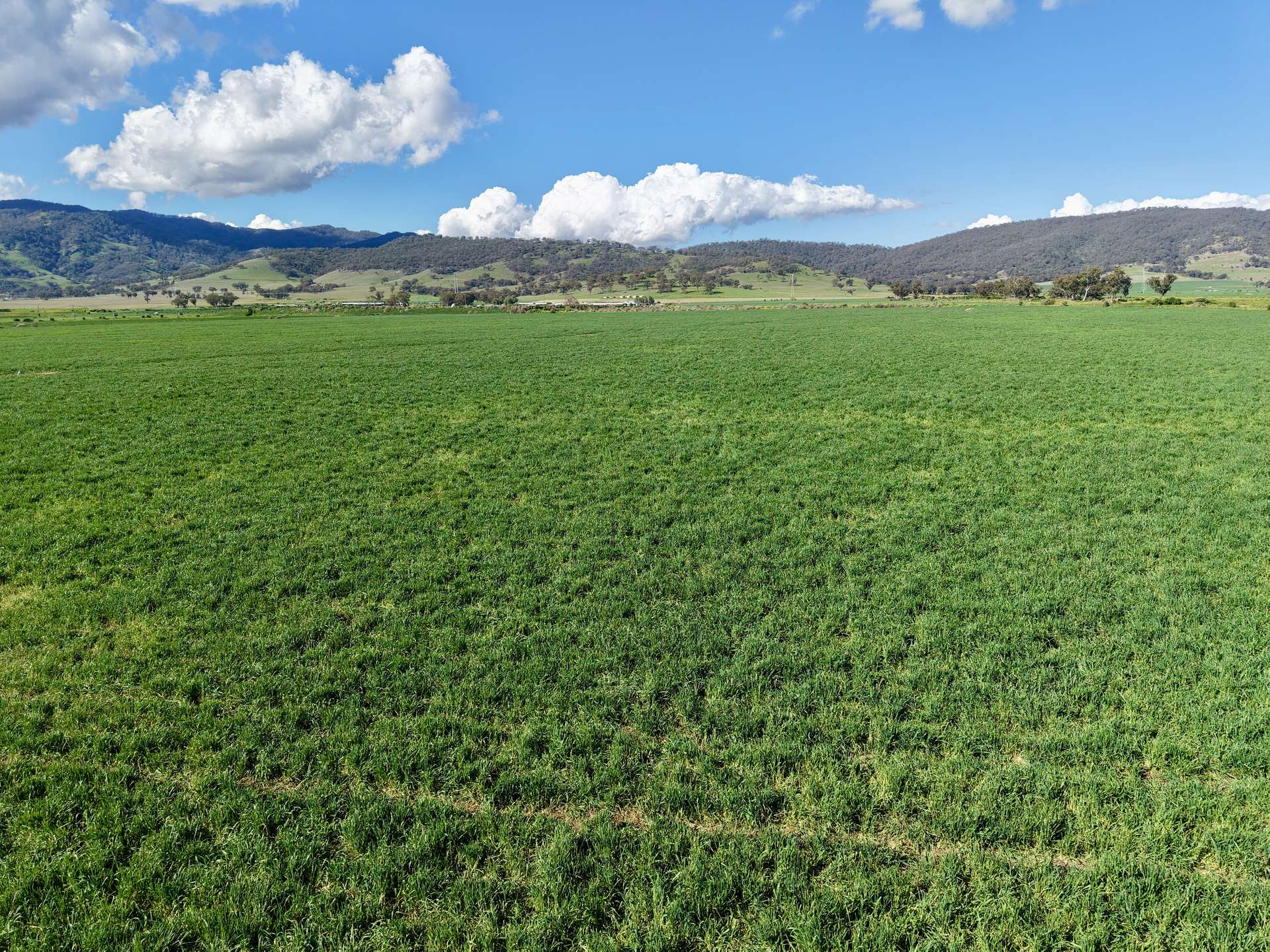"Parkville Farms" Smiths Road, Parkville For Sale by Farmbuy.com - image 15