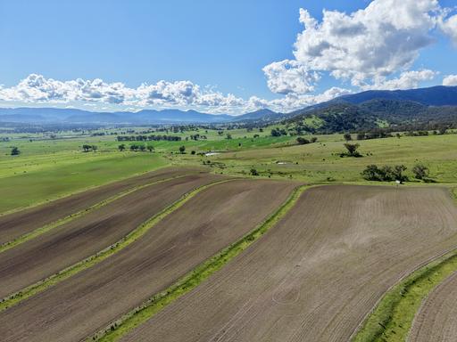 Farm For Sale - NSW - Parkville - 2337 - A Landmark Rural Offering on the Outskirts of Scone 