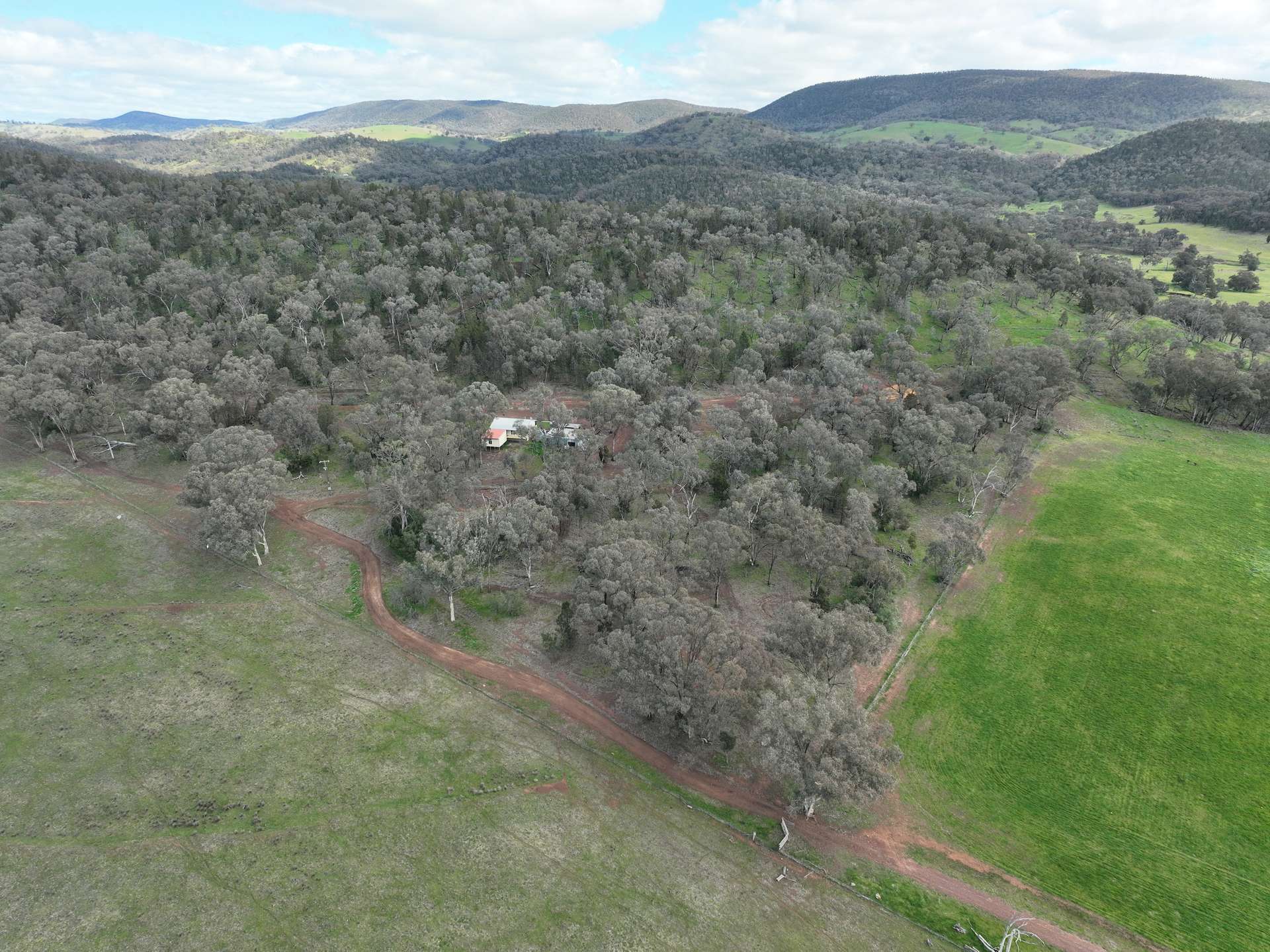 'Fox Hill' 573 Blathery Creek Road, Neurea For Sale by Farmbuy.com - image 3