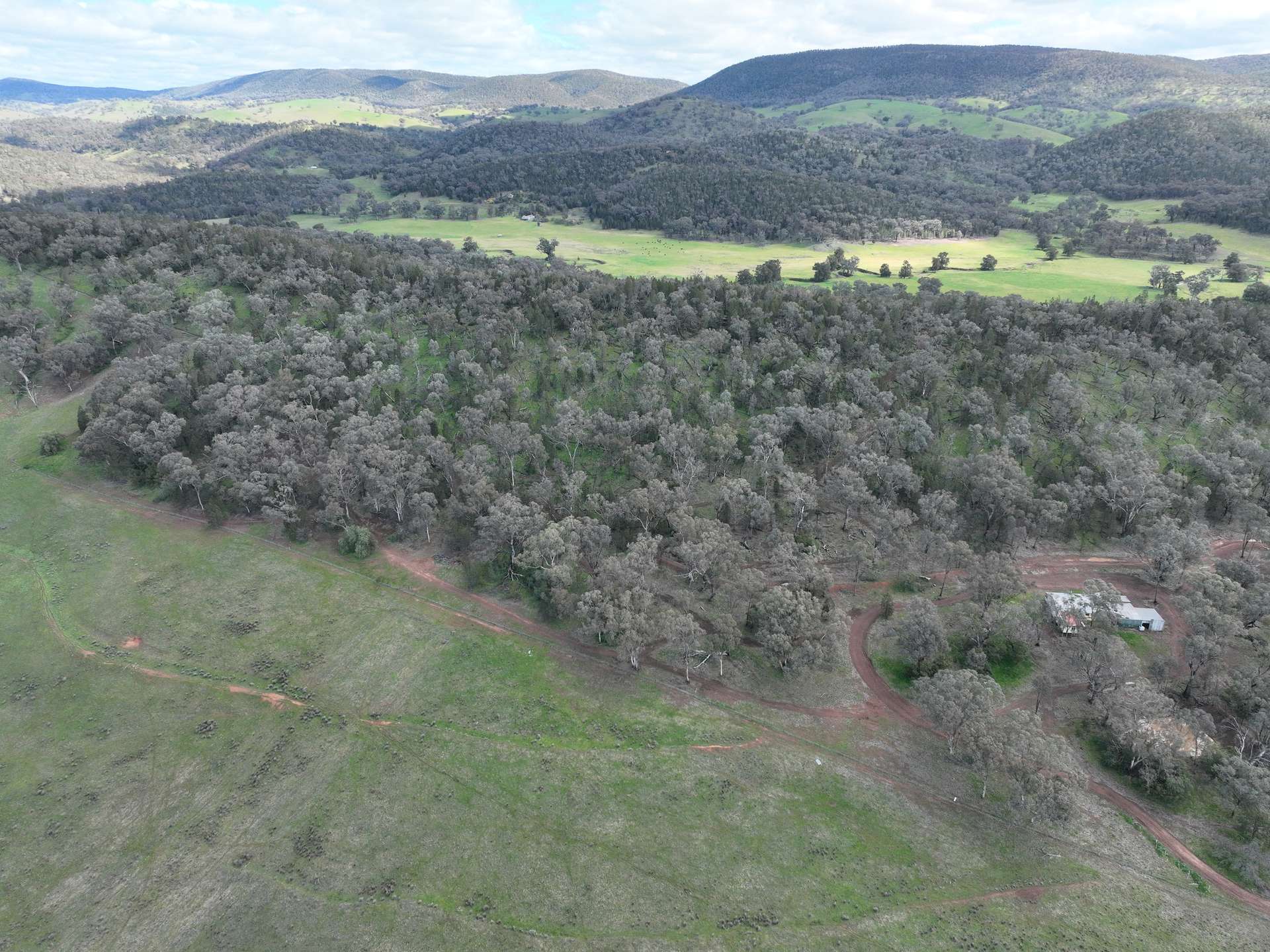 'Fox Hill' 573 Blathery Creek Road, Neurea For Sale by Farmbuy.com - image 6