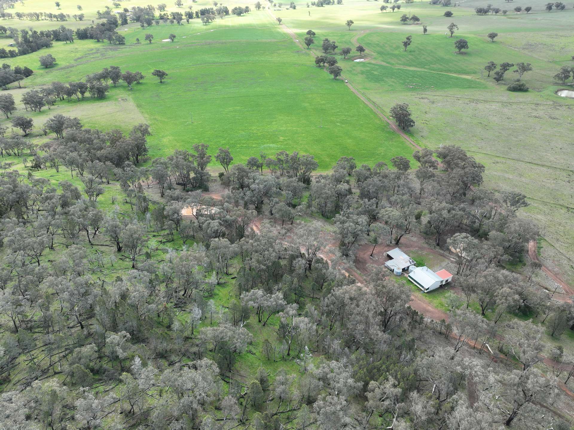 'Fox Hill' 573 Blathery Creek Road, Neurea For Sale by Farmbuy.com - image 7