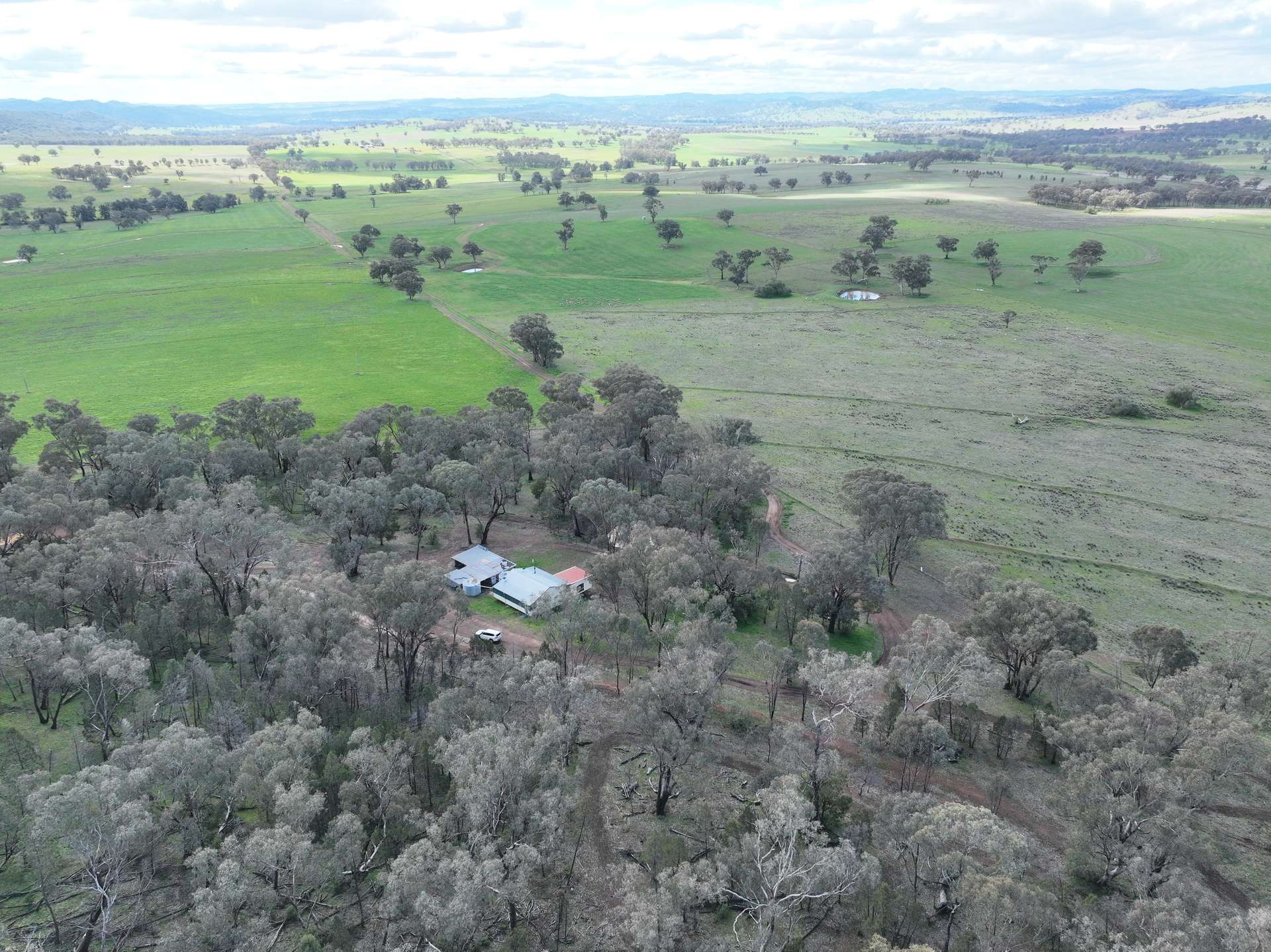 'Fox Hill' 573 Blathery Creek Road, Neurea For Sale by Farmbuy.com - image 8