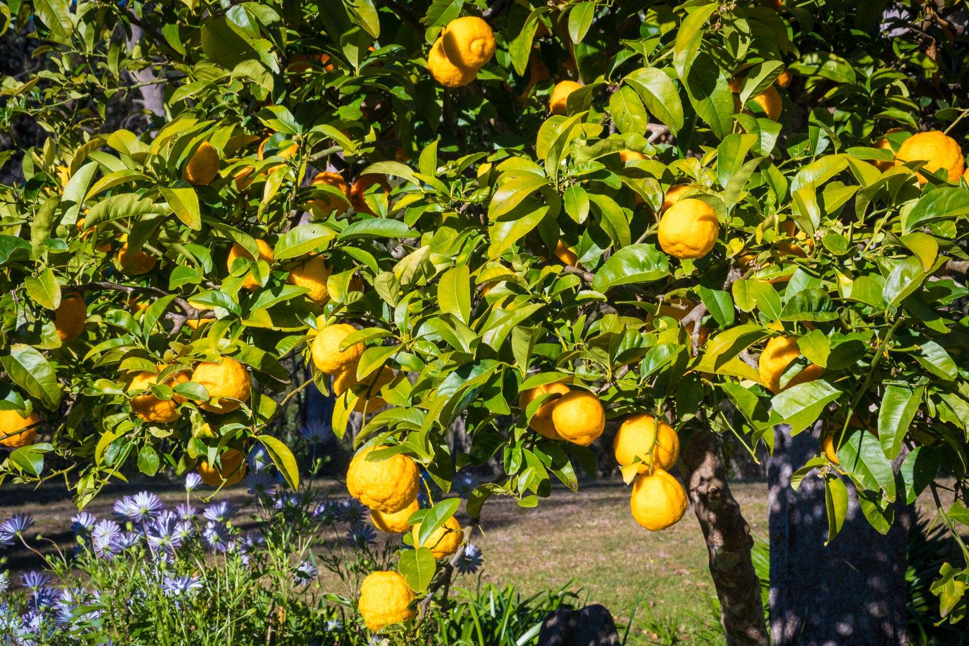 950 Wagonga Scenic Drive, Narooma For Sale by Farmbuy.com - image 27