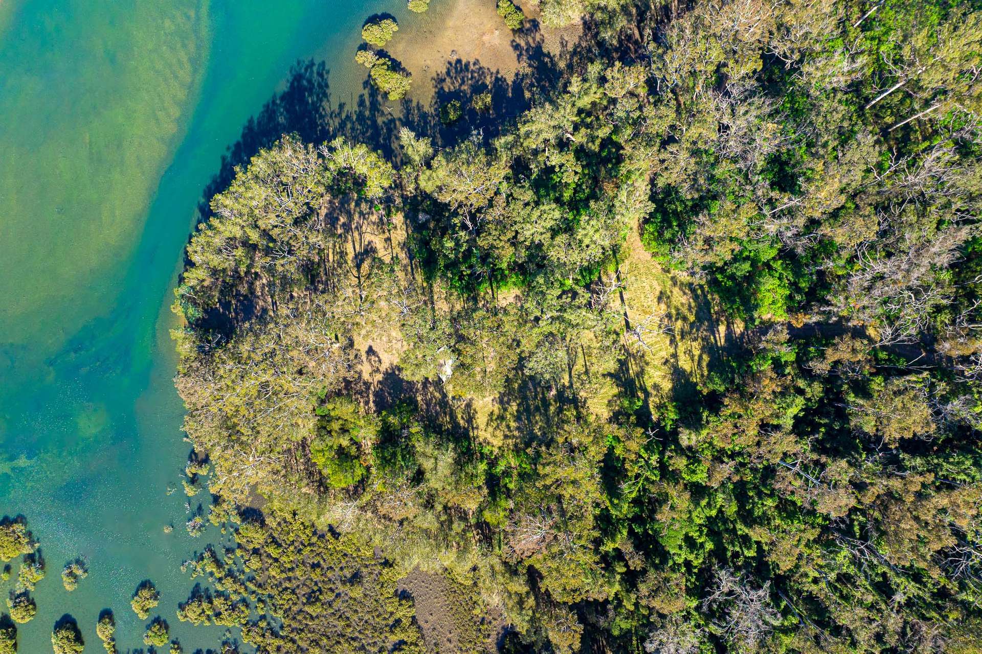 950 Wagonga Scenic Drive, Narooma For Sale by Farmbuy.com - image 31