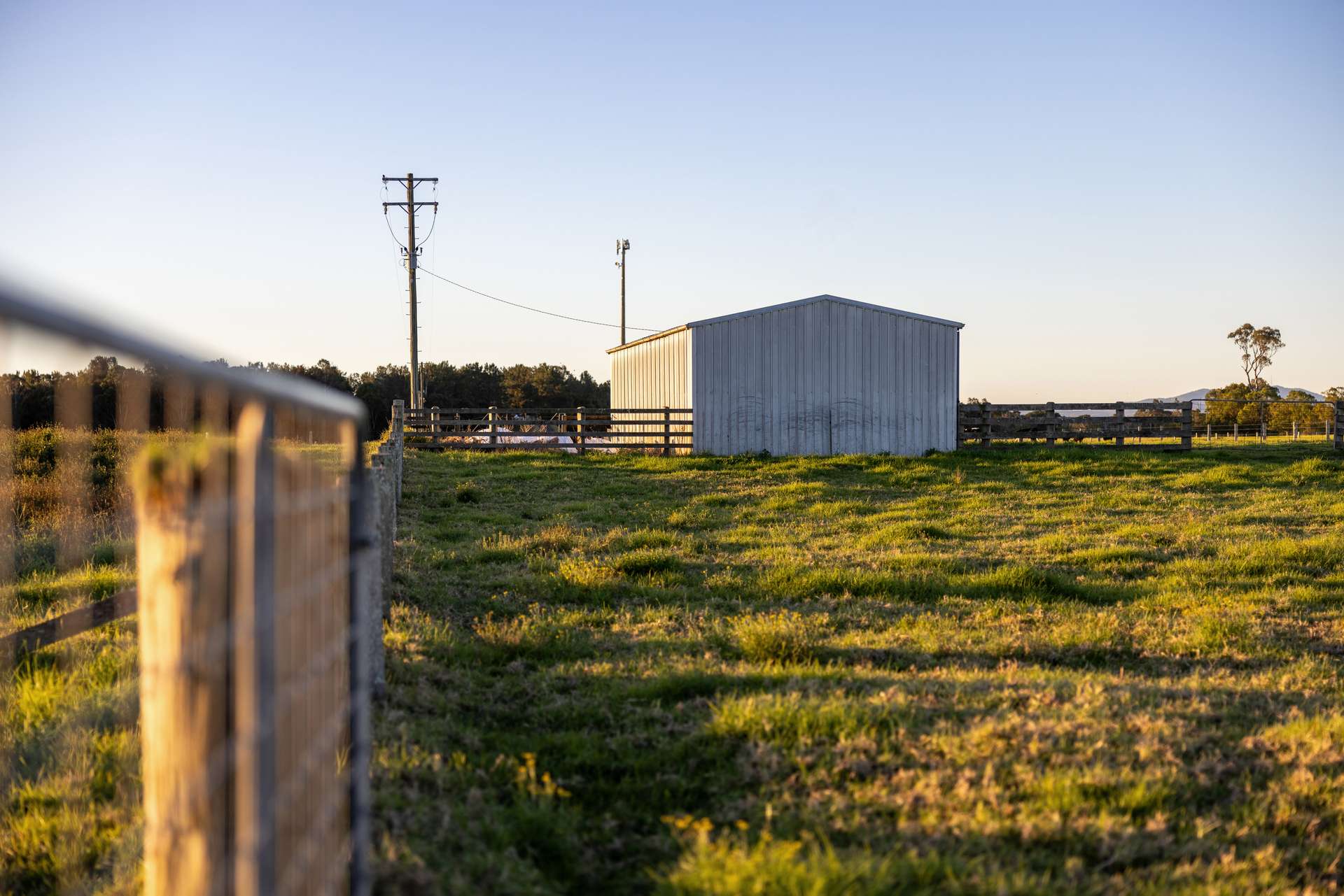 17301 Pacific Highway, Cundletown For Sale by Farmbuy.com - image 7
