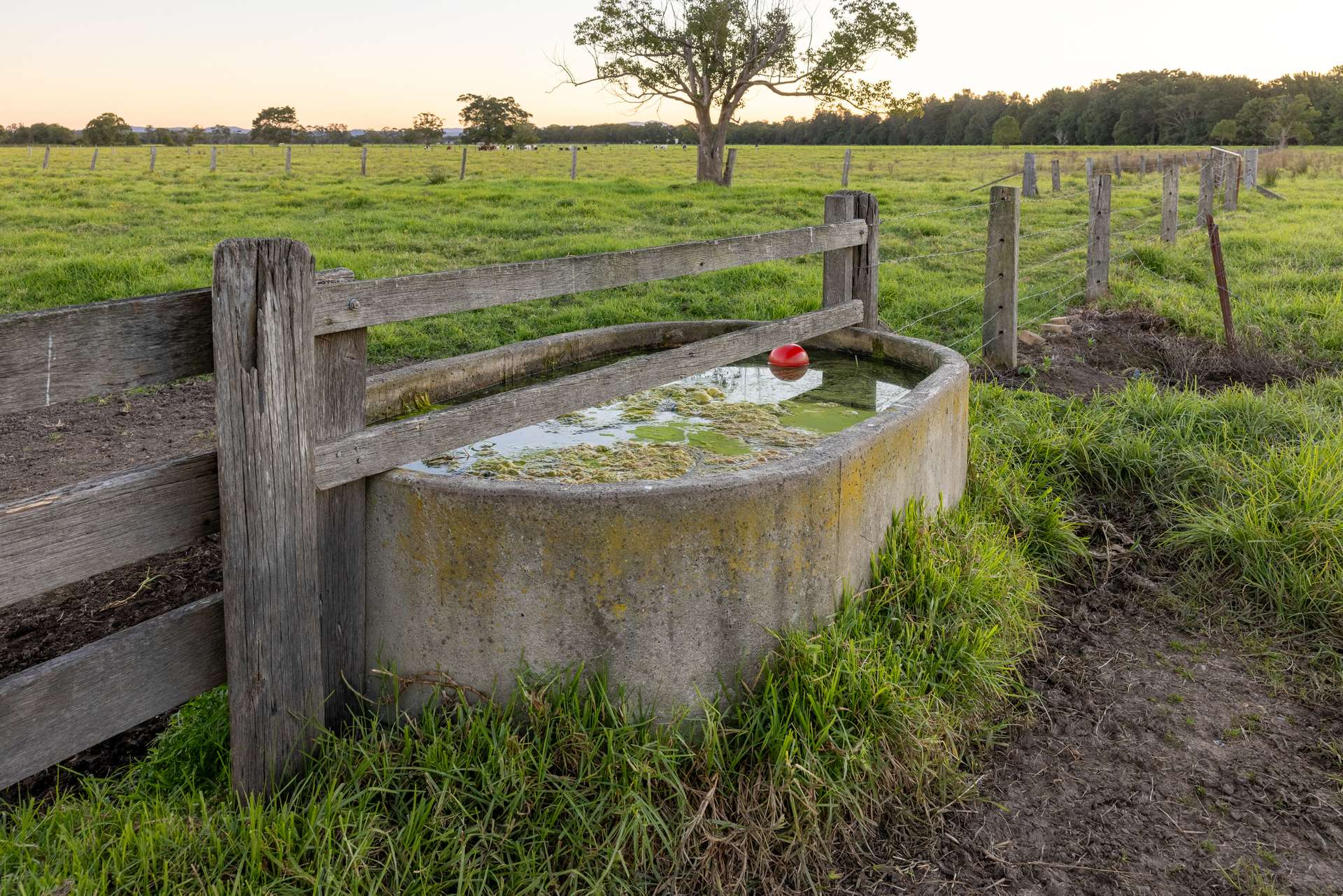 17301 Pacific Highway, Cundletown For Sale by Farmbuy.com - image 10