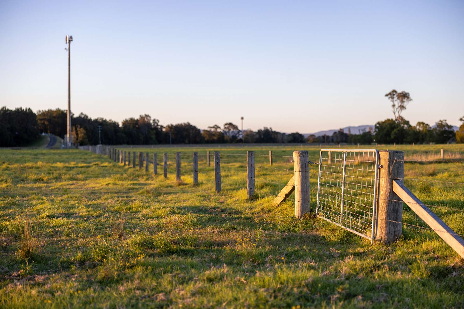 17301 Pacific Highway, Cundletown For Sale by Farmbuy.com - image 6