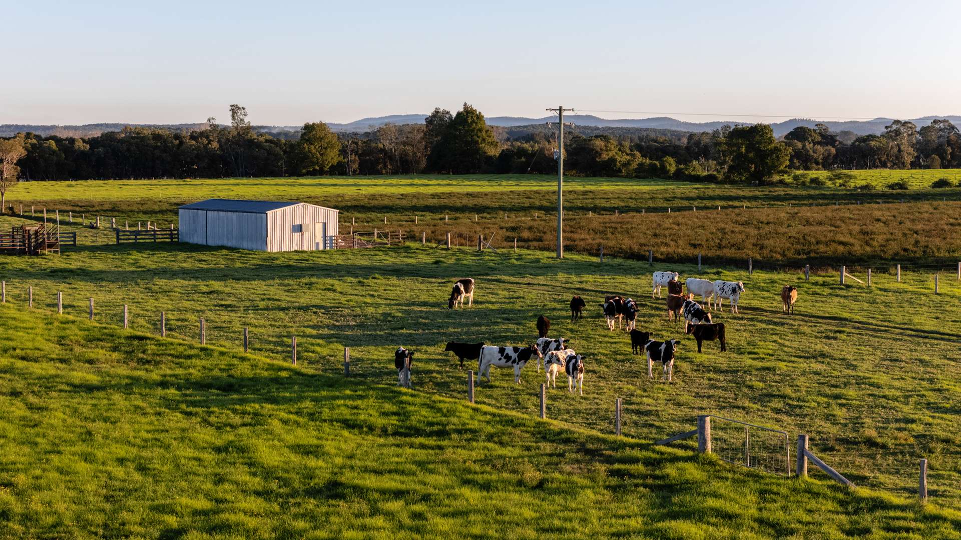 17301 Pacific Highway, Cundletown For Sale by Farmbuy.com - image 4