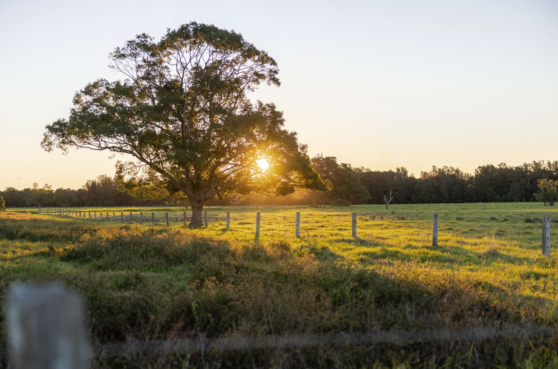 17301 Pacific Highway, Cundletown For Sale by Farmbuy.com - image 2