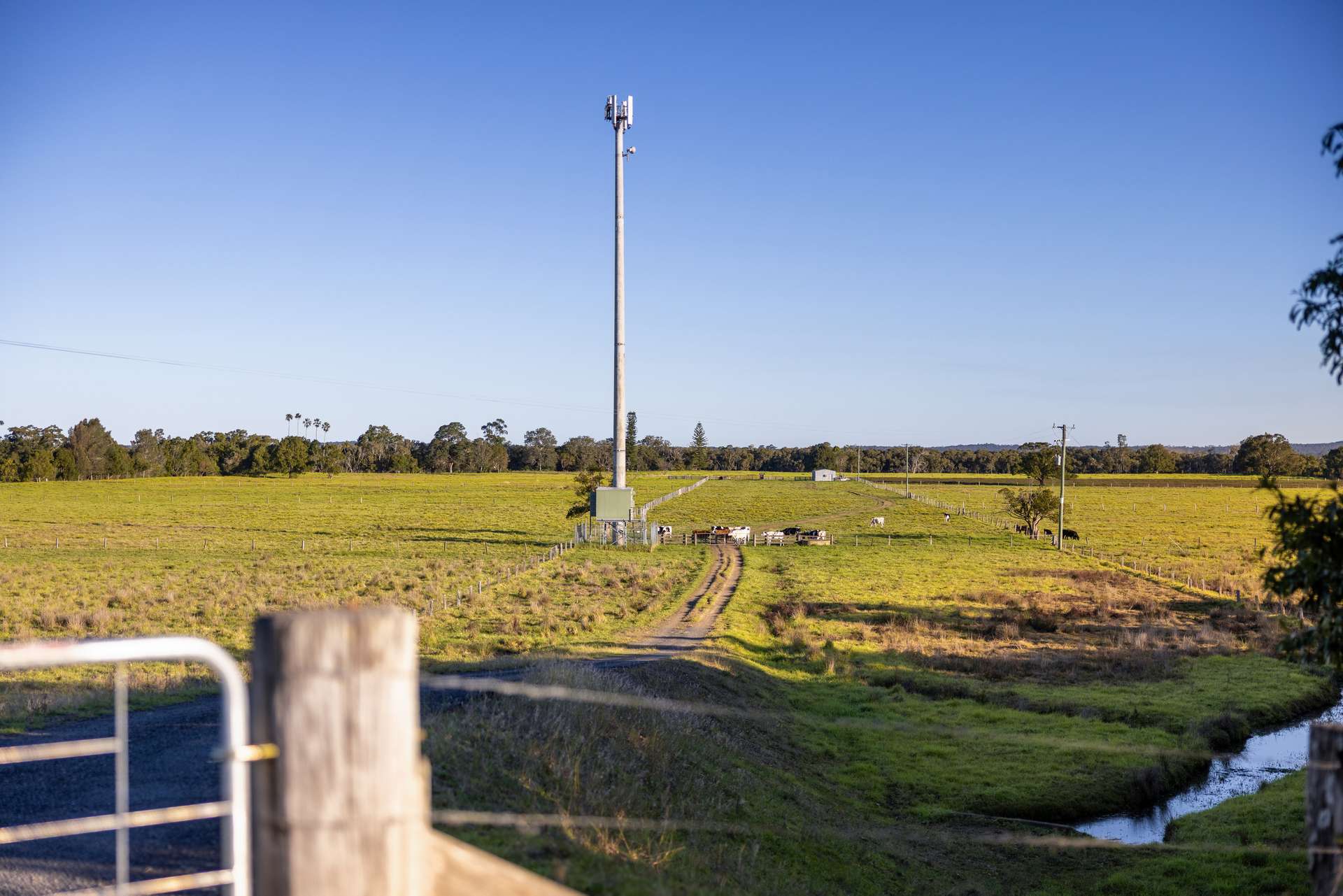 17301 Pacific Highway, Cundletown For Sale by Farmbuy.com - image 3
