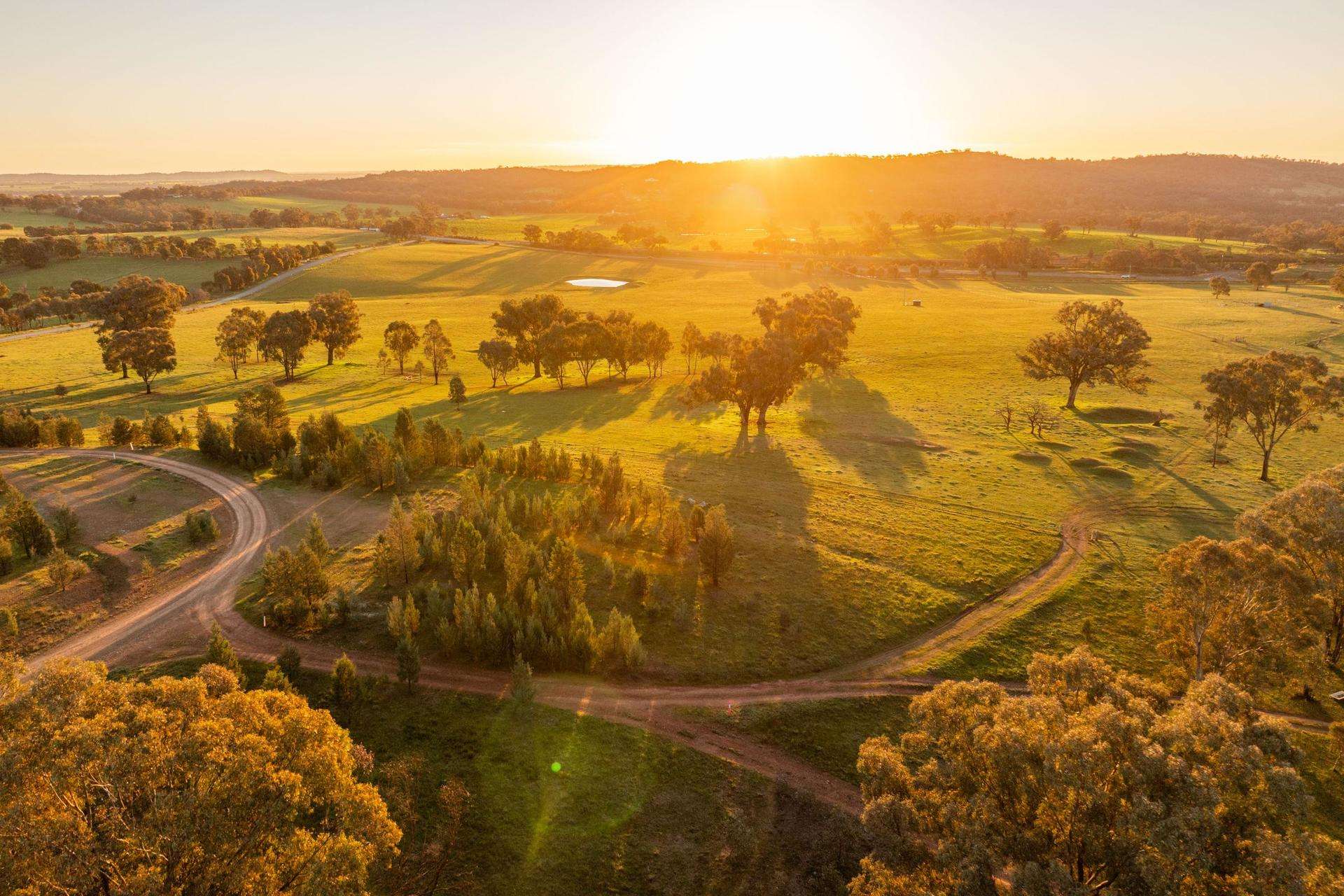 69 Sunset Lane, Wagga Wagga Auction by Farmbuy.com - image 23