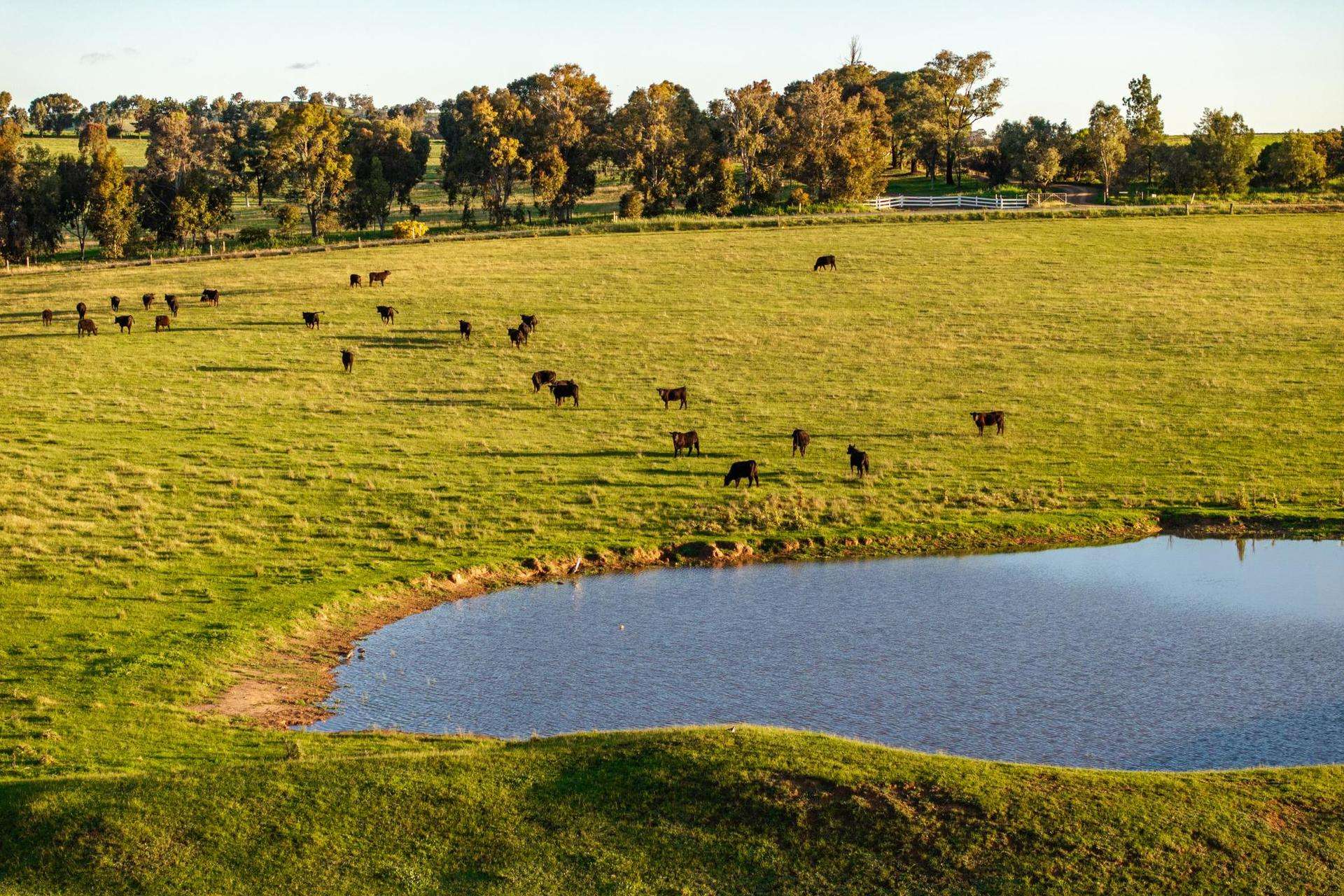 69 Sunset Lane, Wagga Wagga Auction by Farmbuy.com - image 19