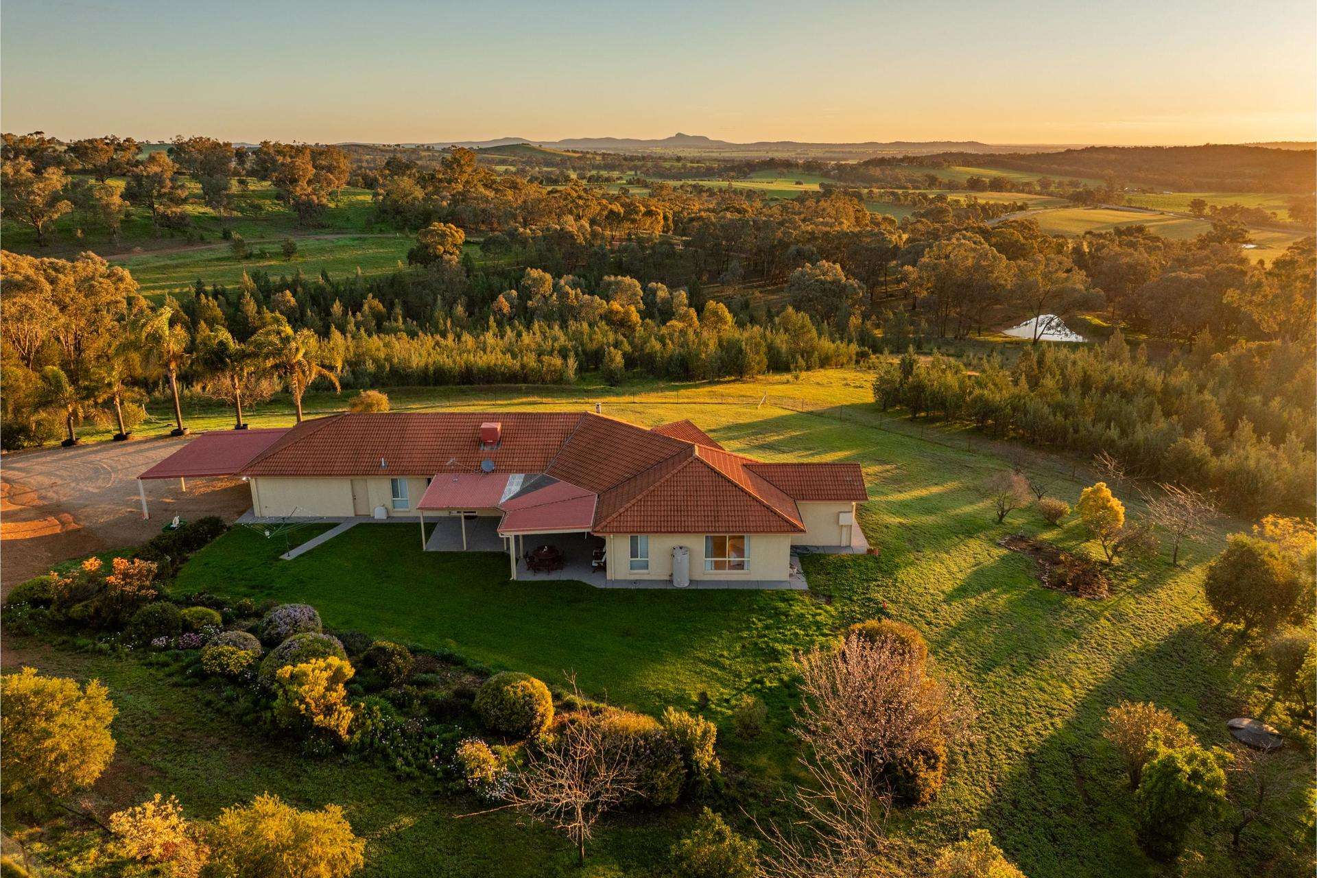 69 Sunset Lane, Wagga Wagga Auction by Farmbuy.com - image 7