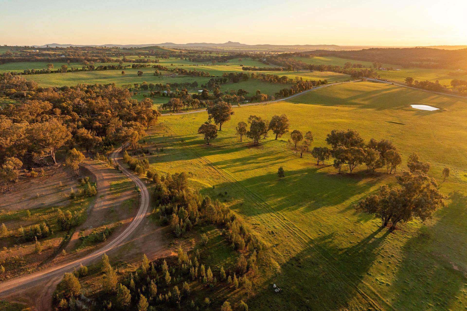 69 Sunset Lane, Wagga Wagga Auction by Farmbuy.com - image 22