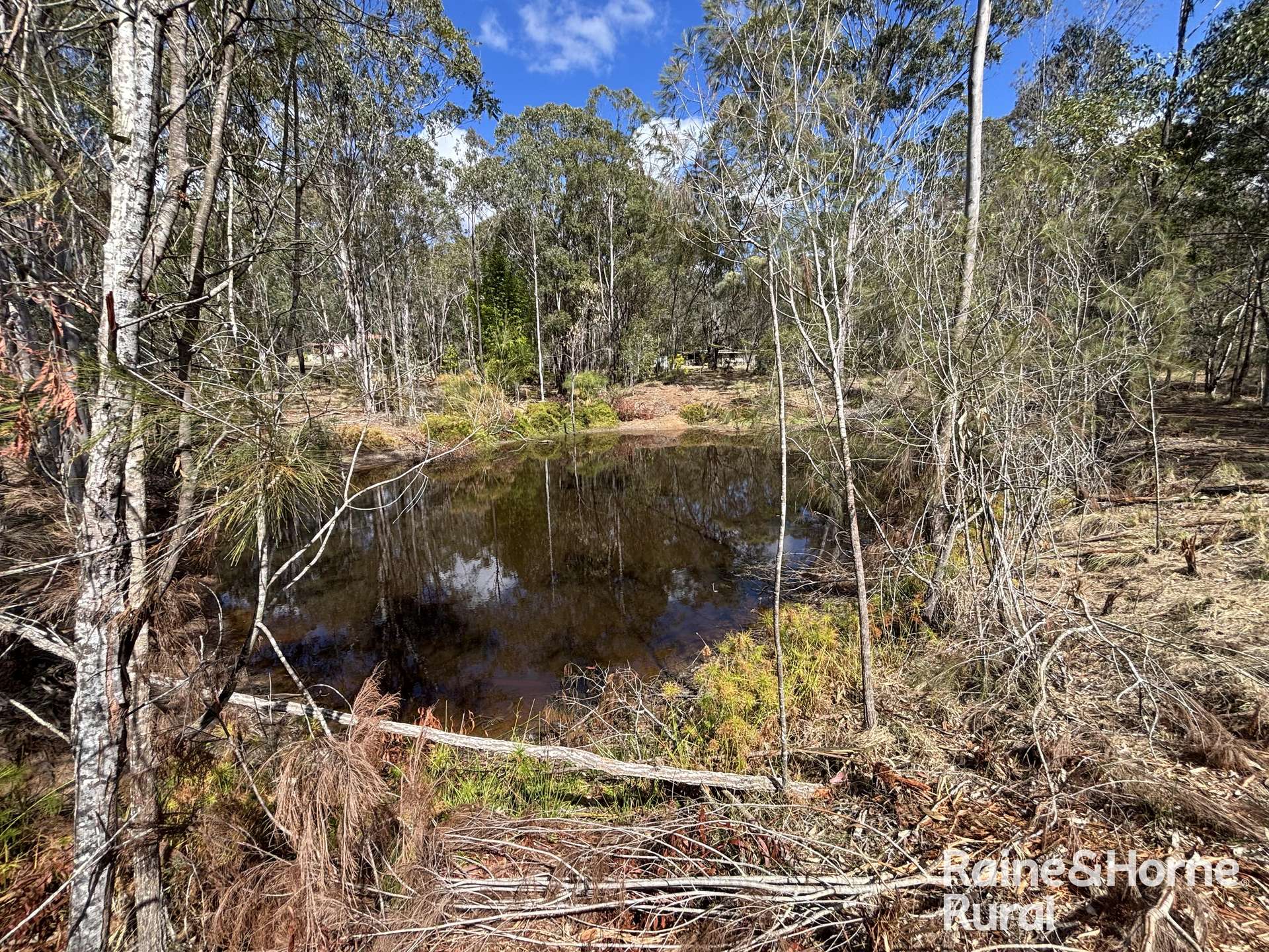 31 Mcnicholl, Wattle Camp For Sale by Farmbuy.com - image 1