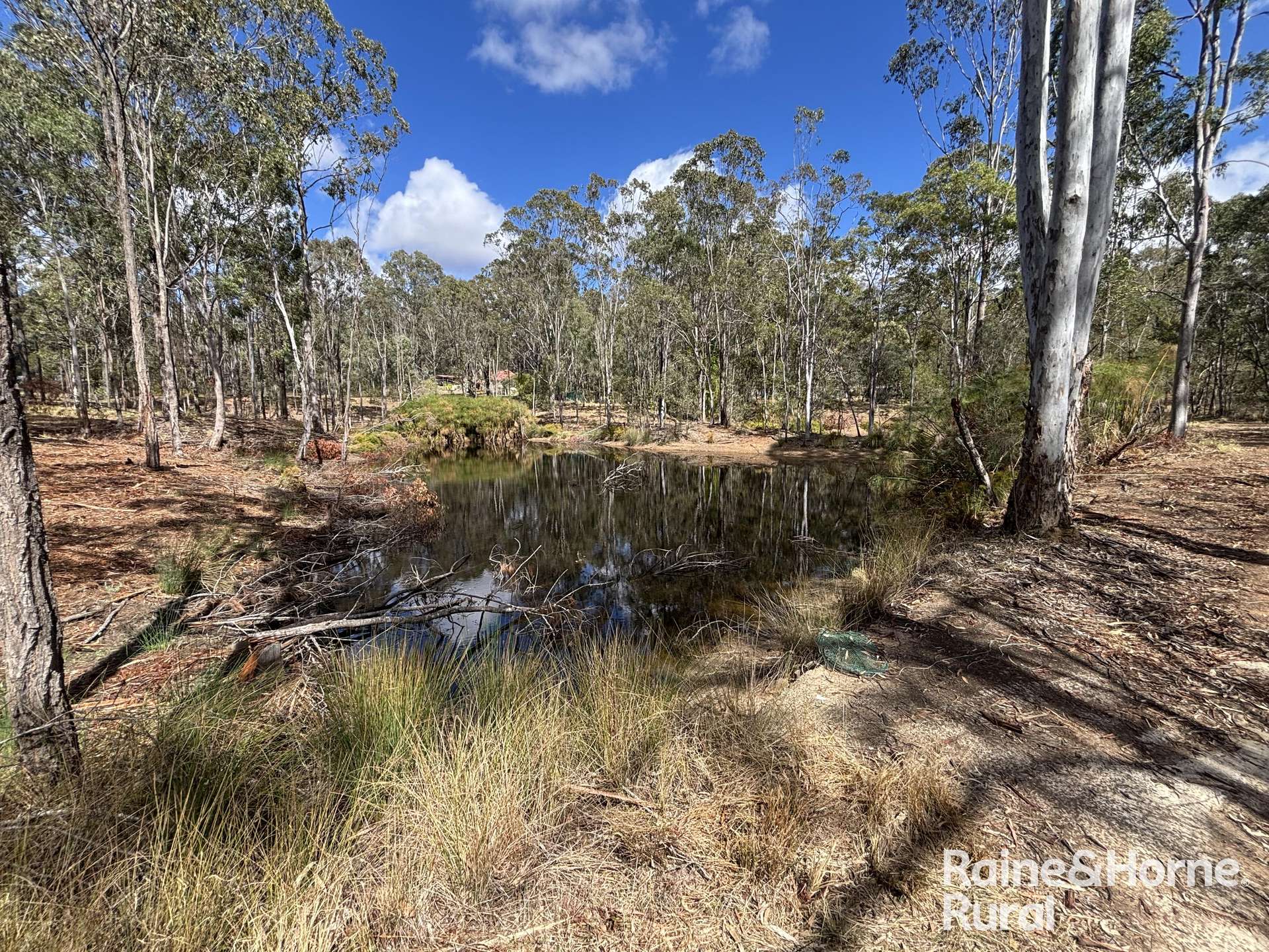 31 Mcnicholl, Wattle Camp For Sale by Farmbuy.com - image 4
