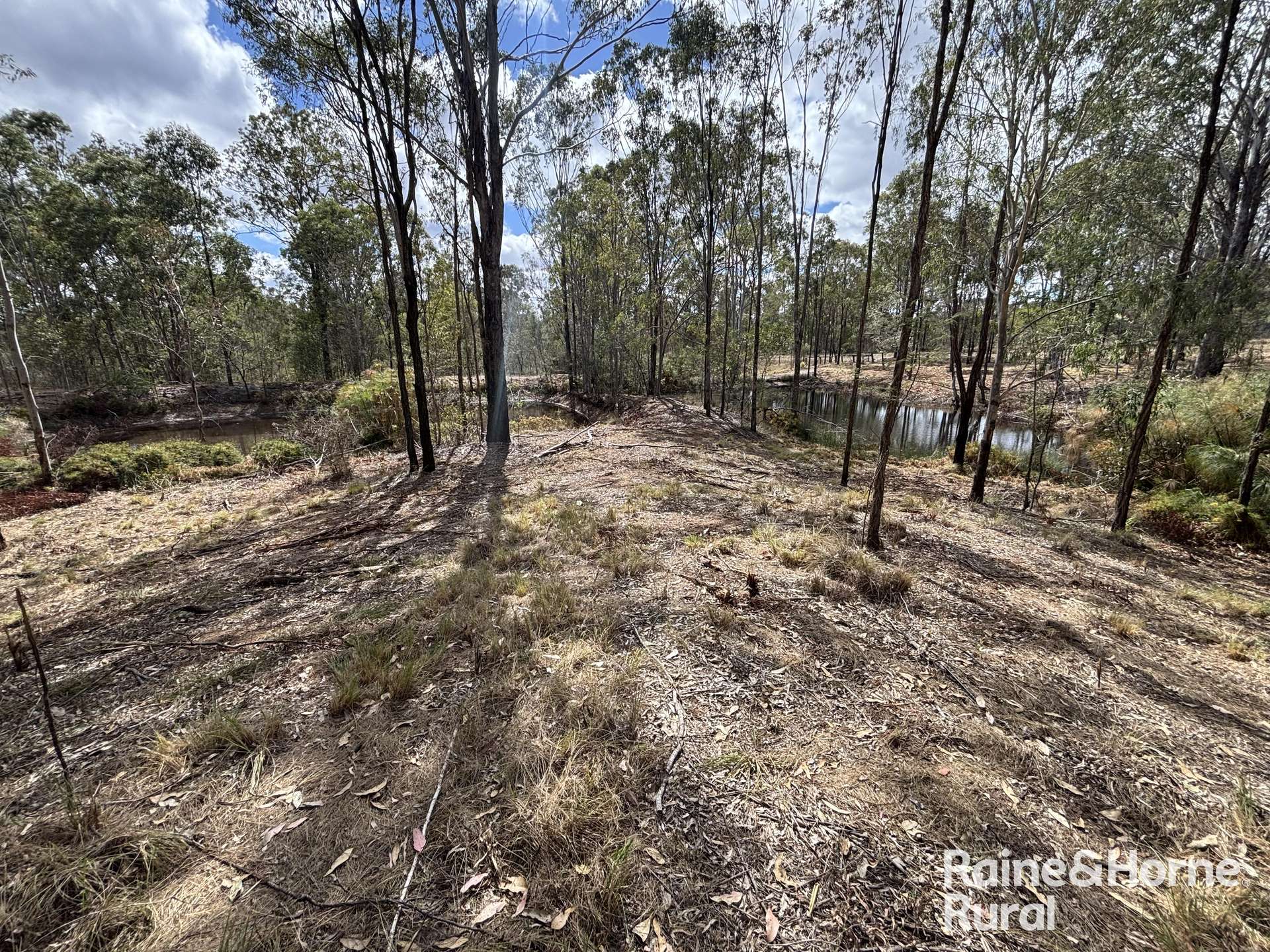 31 Mcnicholl, Wattle Camp For Sale by Farmbuy.com - image 21
