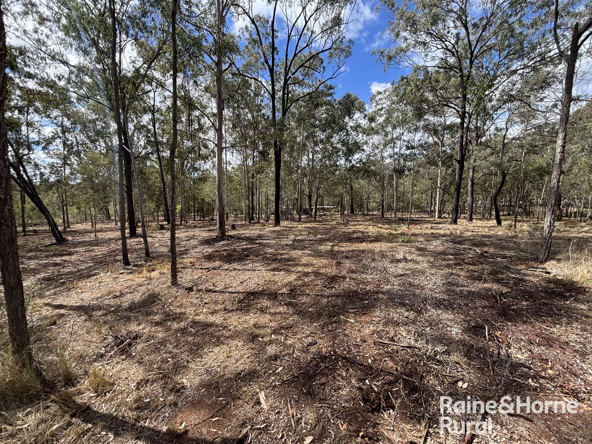 31 Mcnicholl, Wattle Camp For Sale by Farmbuy.com - image 19