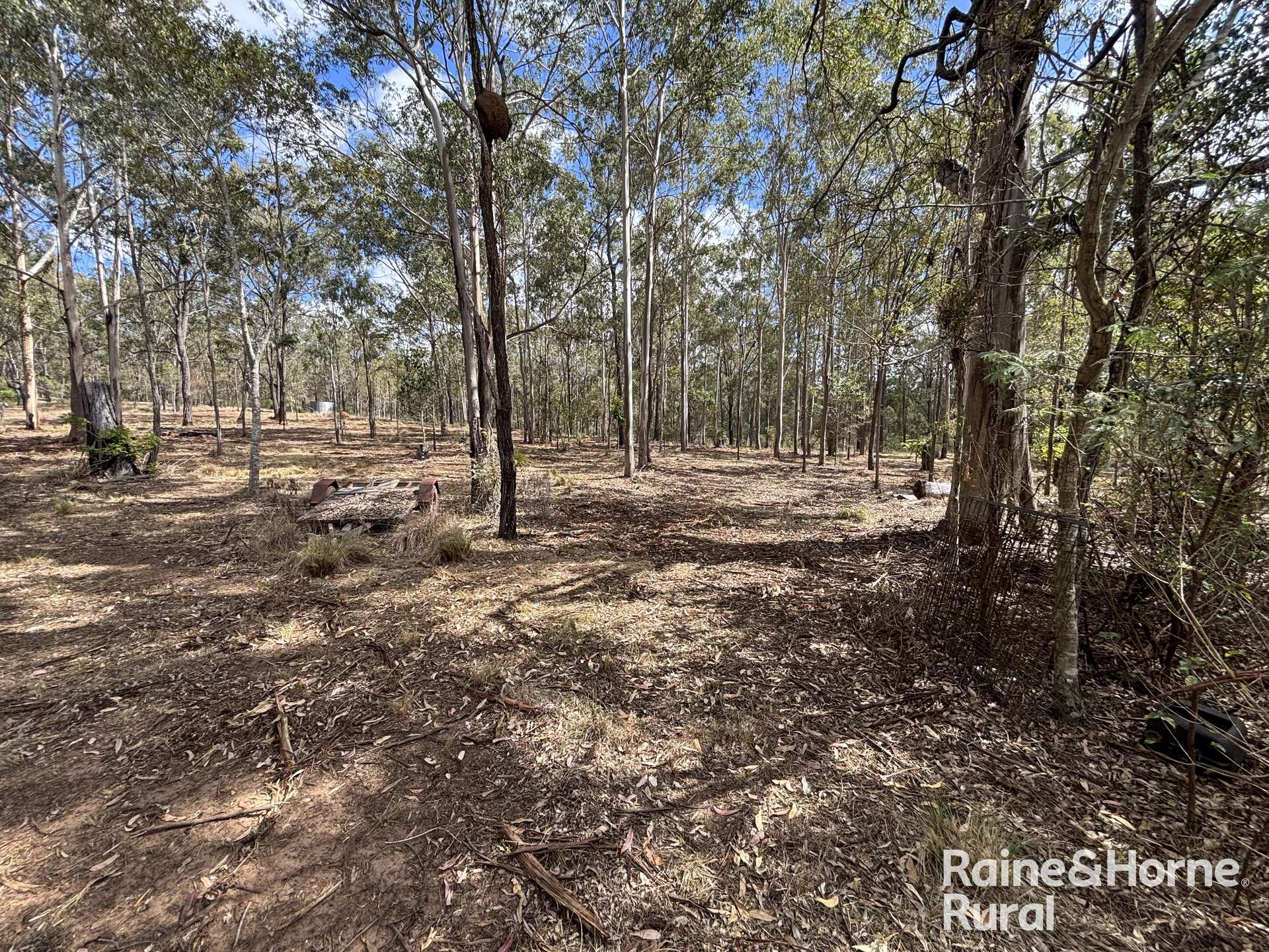 31 Mcnicholl, Wattle Camp For Sale by Farmbuy.com - image 15