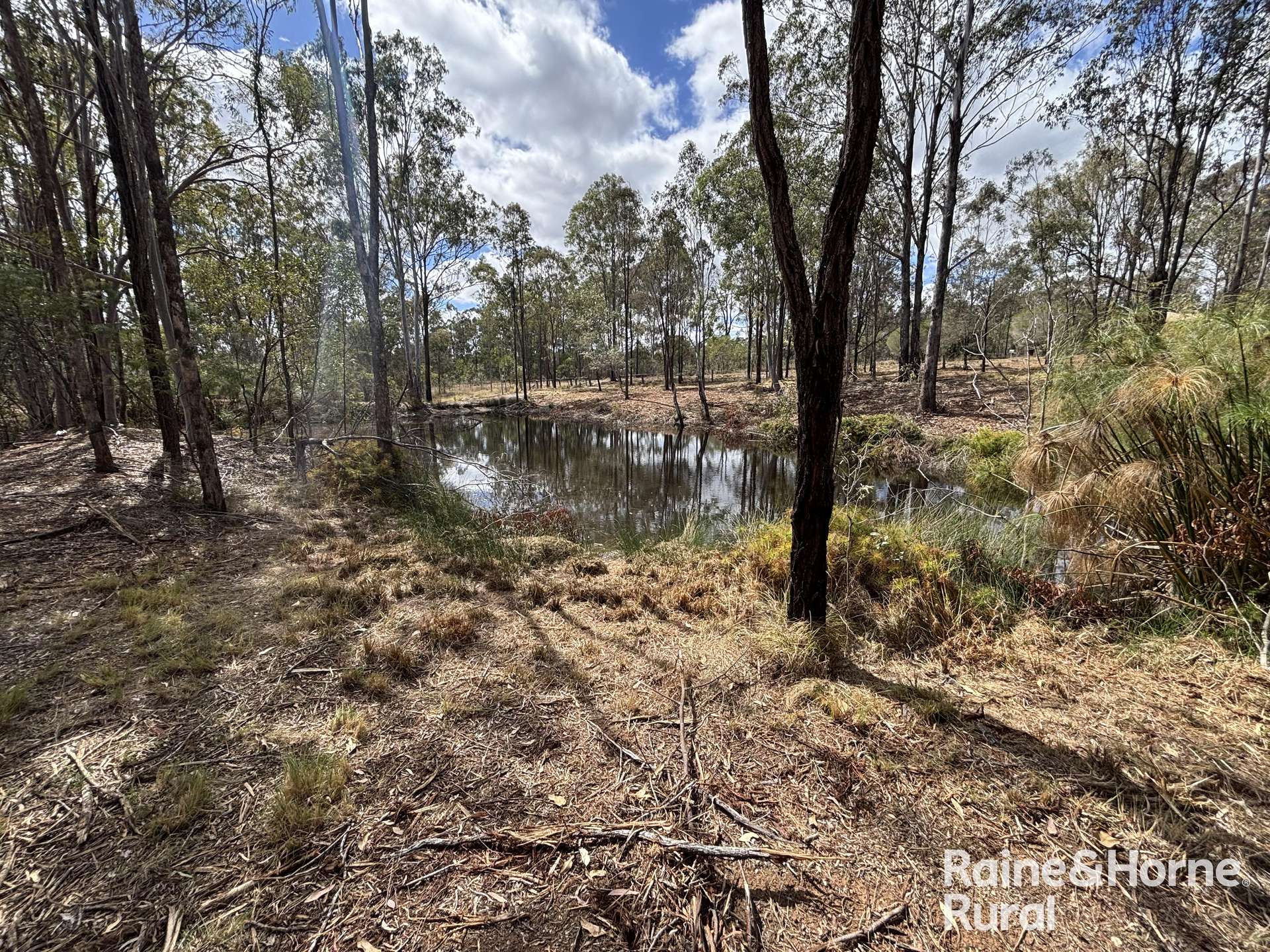 31 Mcnicholl, Wattle Camp For Sale by Farmbuy.com - image 22
