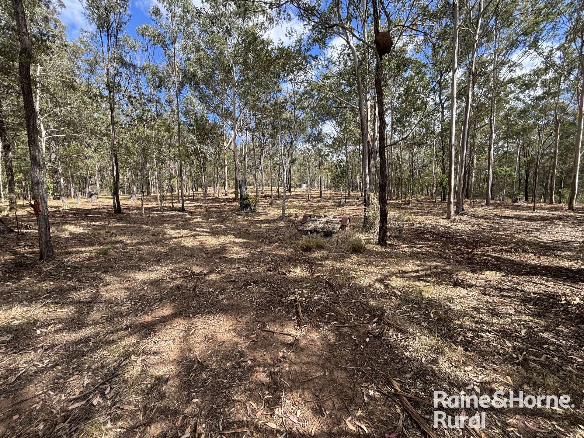 31 Mcnicholl, Wattle Camp For Sale by Farmbuy.com - image 14