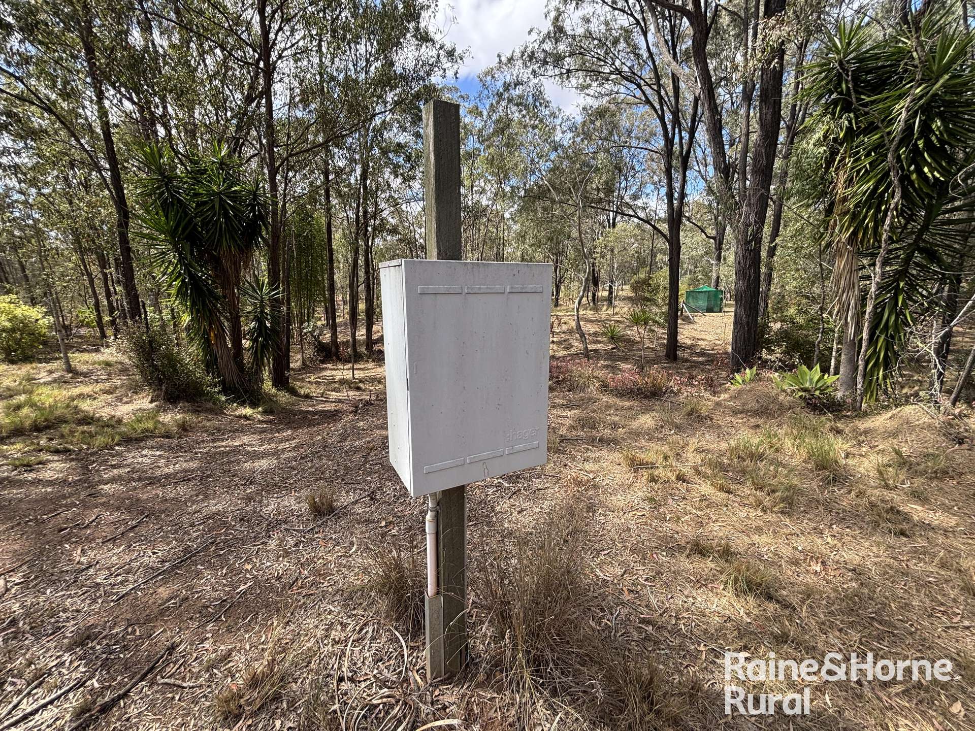 31 Mcnicholl, Wattle Camp For Sale by Farmbuy.com - image 7