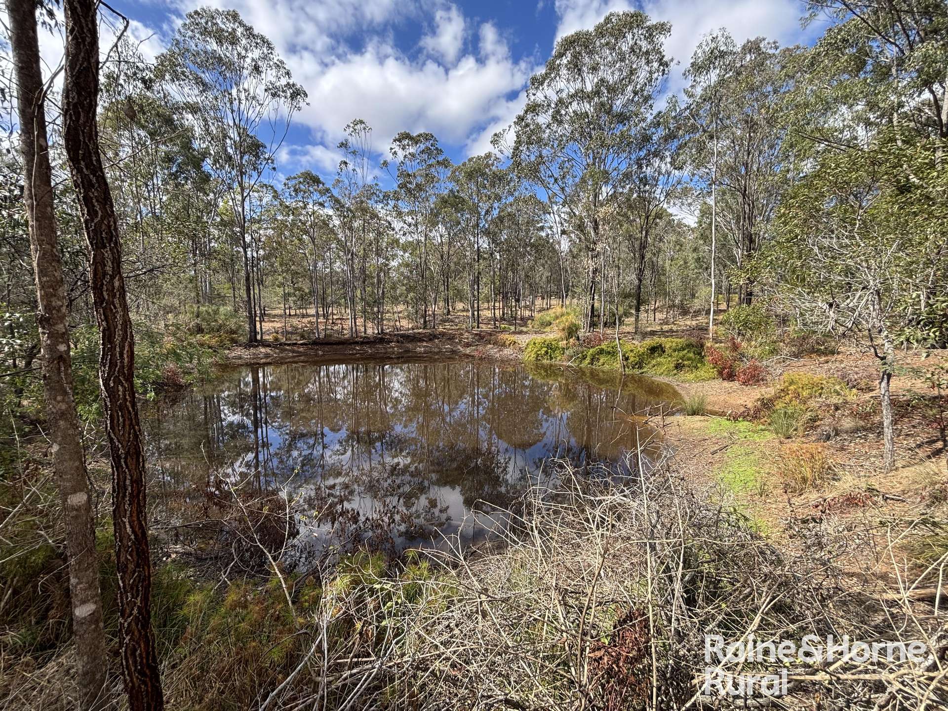 31 Mcnicholl, Wattle Camp For Sale by Farmbuy.com - image 8