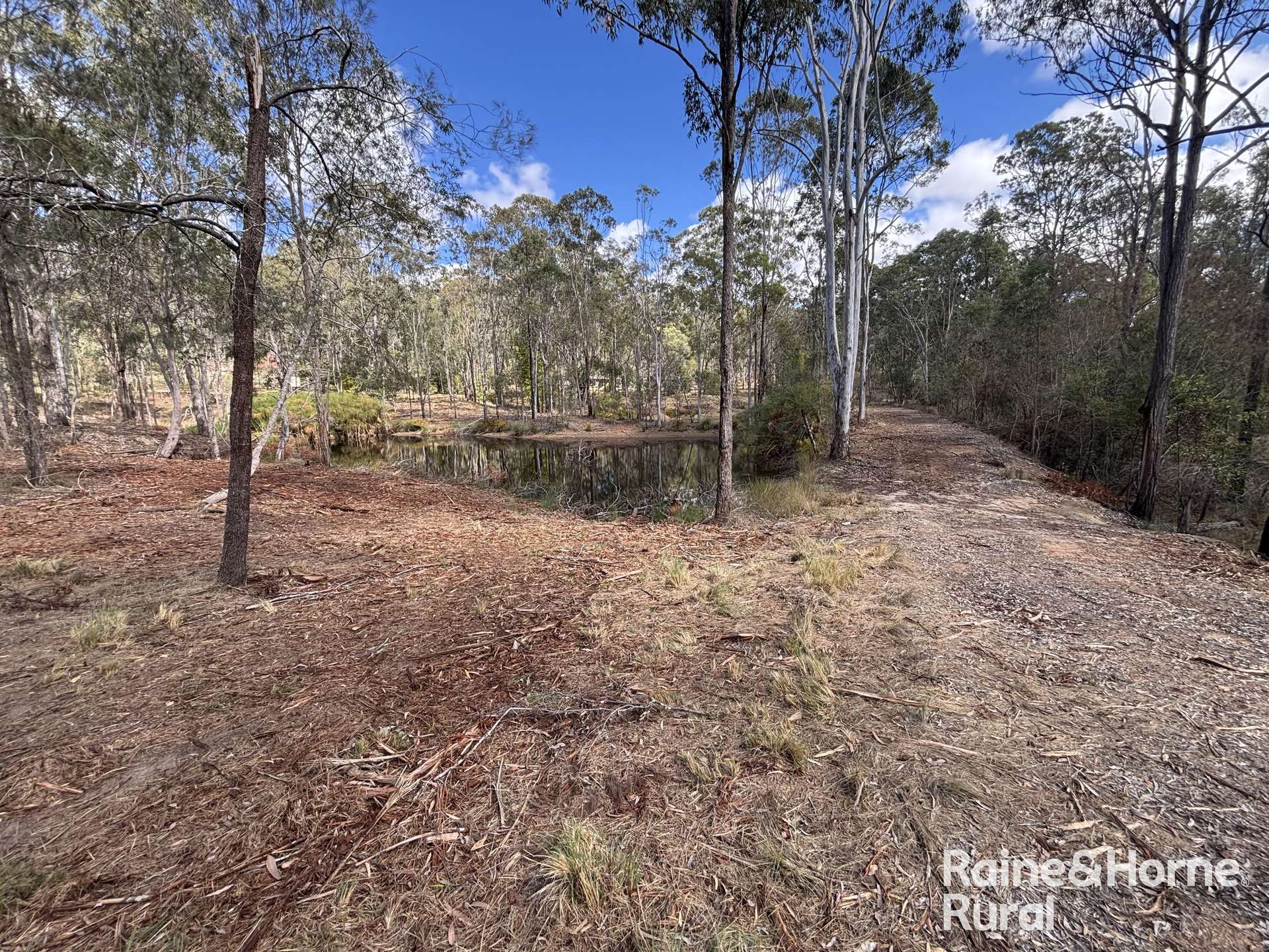 31 Mcnicholl, Wattle Camp For Sale by Farmbuy.com - image 2