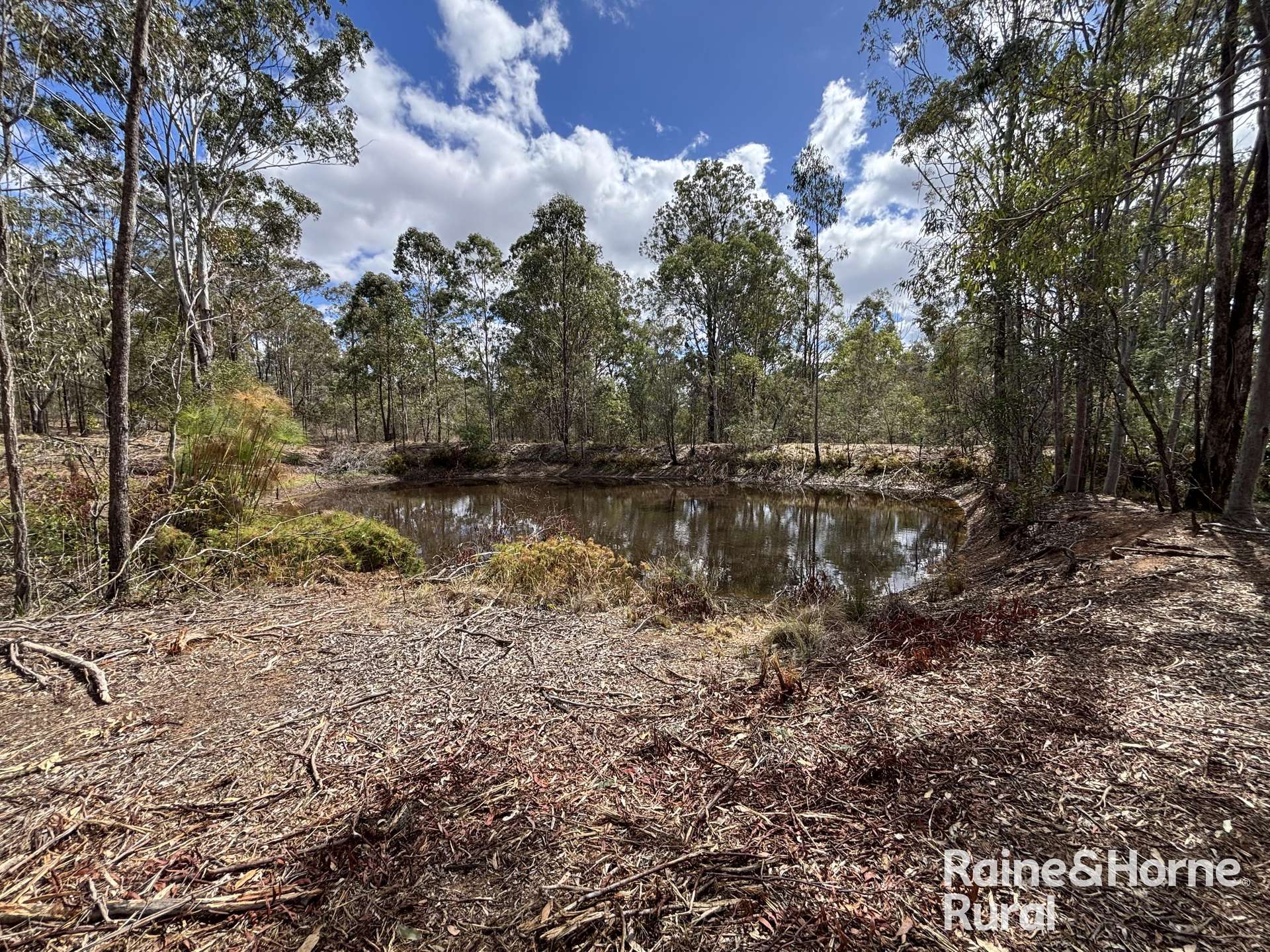 31 Mcnicholl, Wattle Camp For Sale by Farmbuy.com - image 23