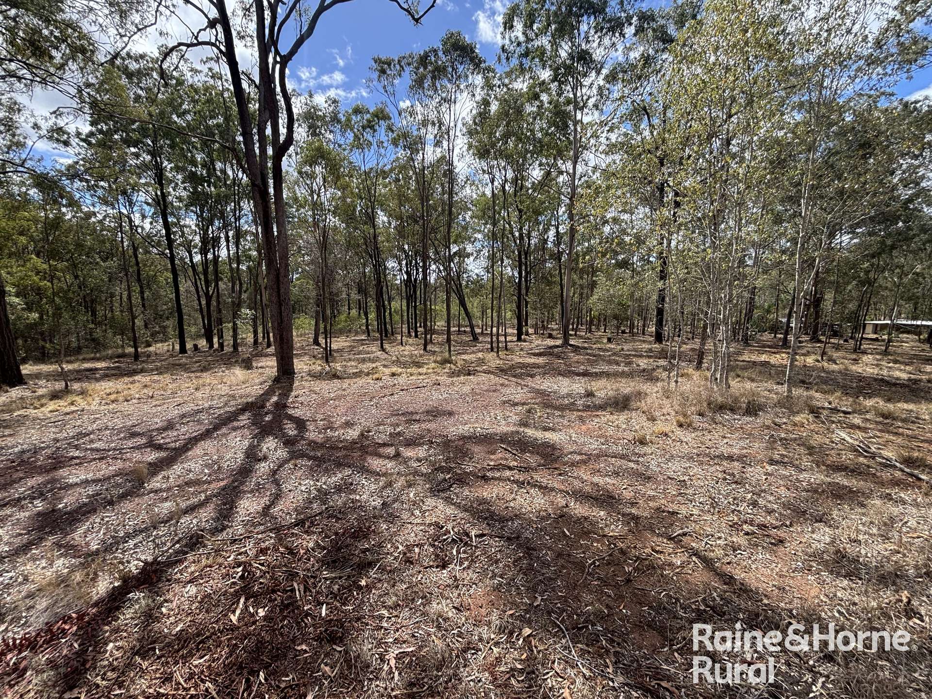 31 Mcnicholl, Wattle Camp For Sale by Farmbuy.com - image 18