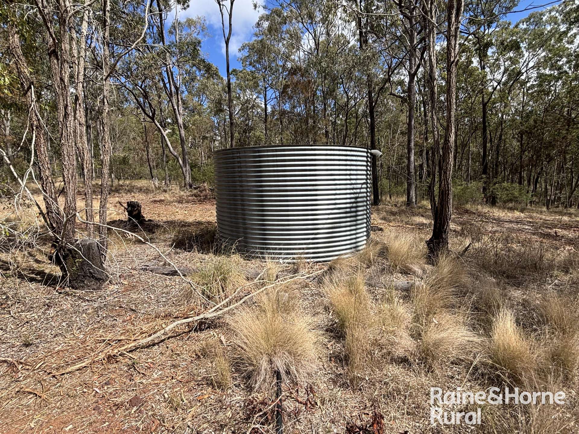 31 Mcnicholl, Wattle Camp For Sale by Farmbuy.com - image 17