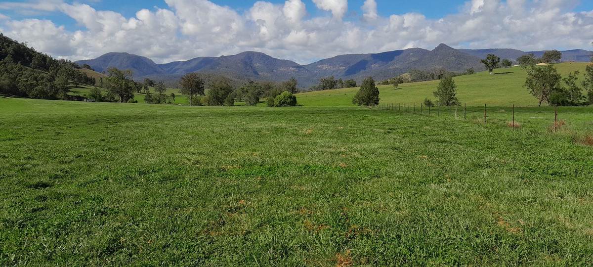 Smiths Creek Station (Block 1), Kempsey For Sale by Farmbuy.com - image 18