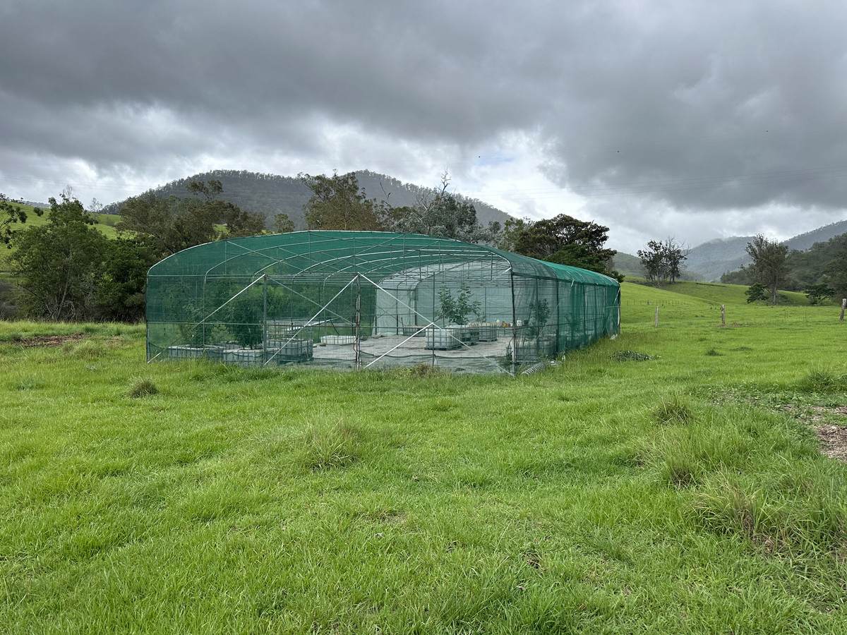 Smiths Creek Station (Block 1), Kempsey For Sale by Farmbuy.com - image 19