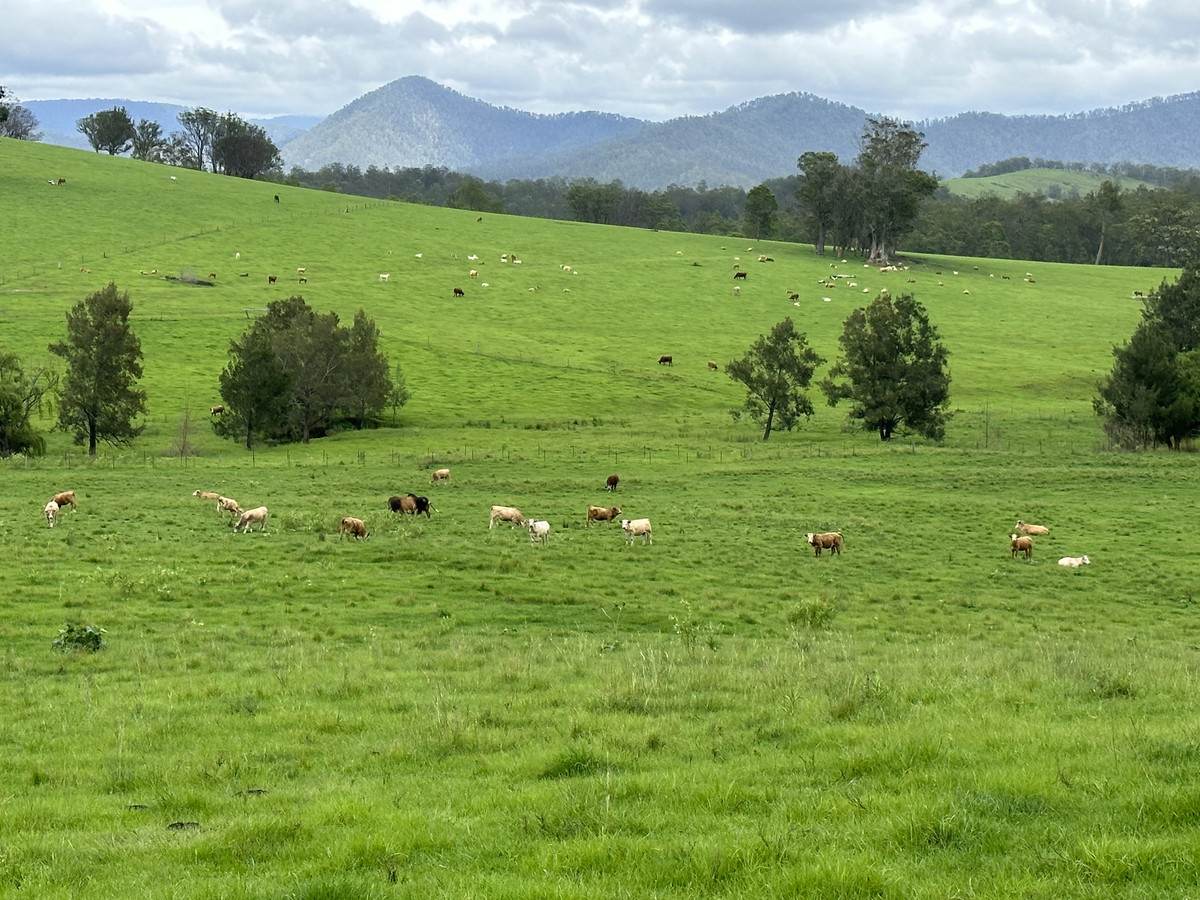 Smiths Creek Station (Block 1), Kempsey For Sale by Farmbuy.com - image 4