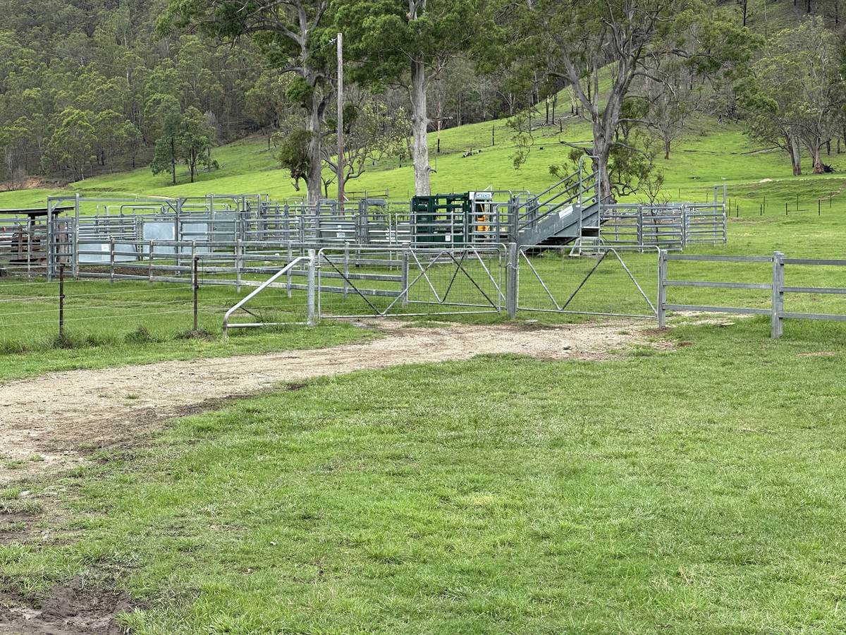 Smiths Creek Station (Block 1), Kempsey For Sale by Farmbuy.com - image 9