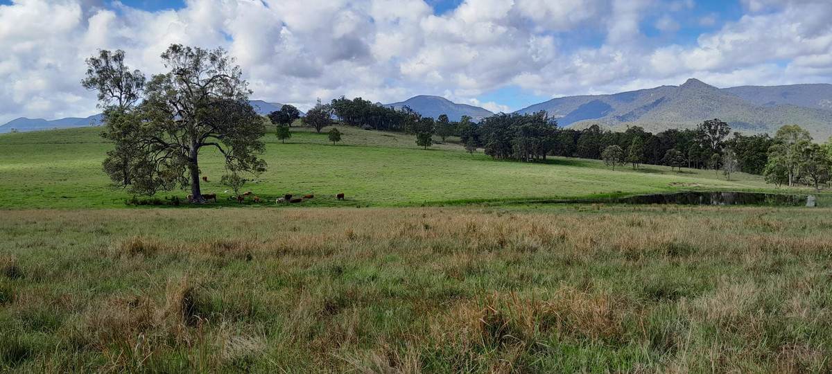 Smiths Creek Station (Block 1), Kempsey For Sale by Farmbuy.com - image 17