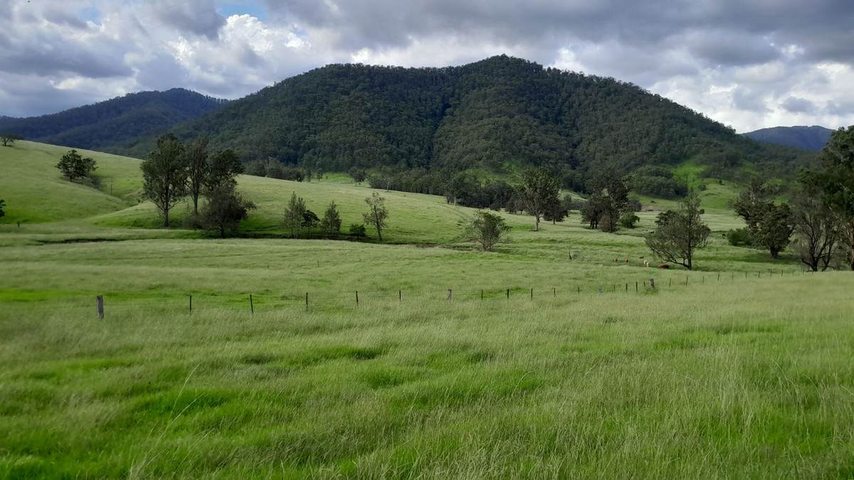 Smiths Creek Station (Block 1), Kempsey For Sale by Farmbuy.com - image 3