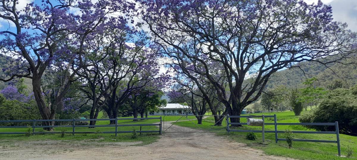 Smiths Creek Station (Block 1), Kempsey For Sale by Farmbuy.com - image 1