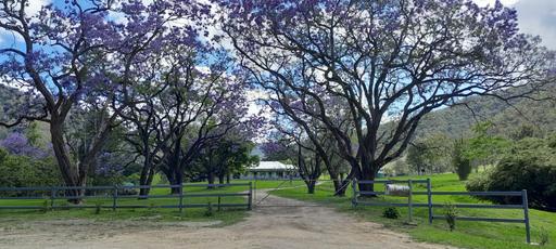 Smiths Creek Station &lpar;Block 1&rpar;, Kempsey NSW 2440