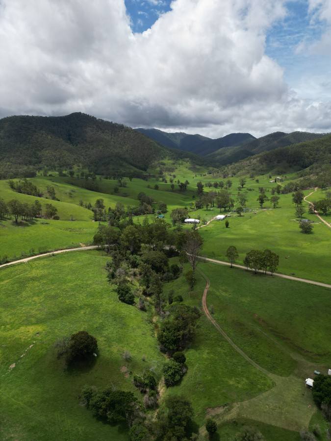 Smiths Creek Station (Block 1), Kempsey For Sale by Farmbuy.com - image 8