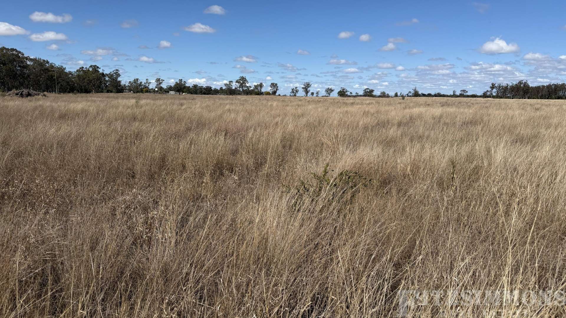 Sydney Street, Jandowae For Sale by Farmbuy.com - image 12