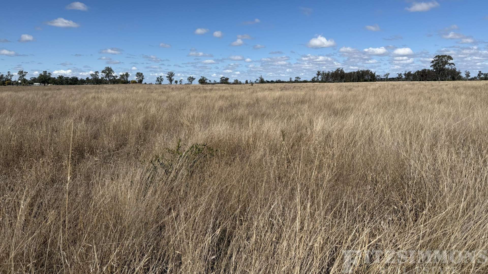 Sydney Street, Jandowae For Sale by Farmbuy.com - image 11