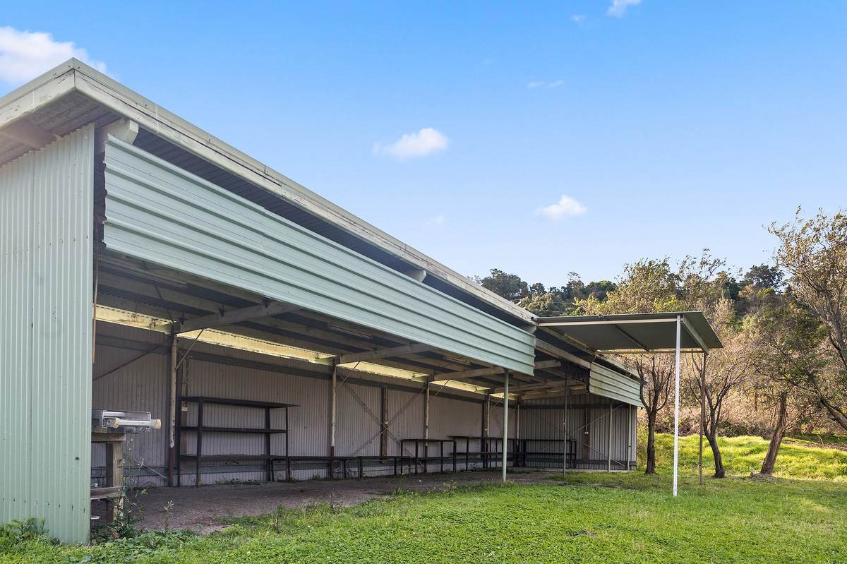 100a Devitts Lane, Meroo Meadow For Sale by Farmbuy.com - image 24