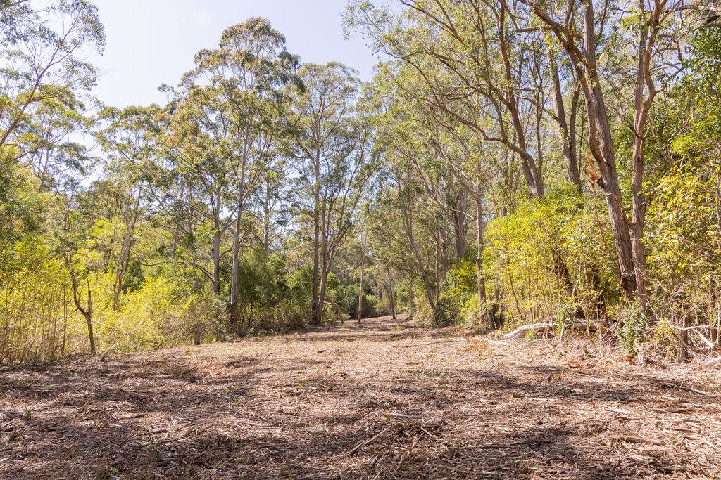 Lot 1 Post Office Road, Ravensbourne For Sale by Farmbuy.com - image 9