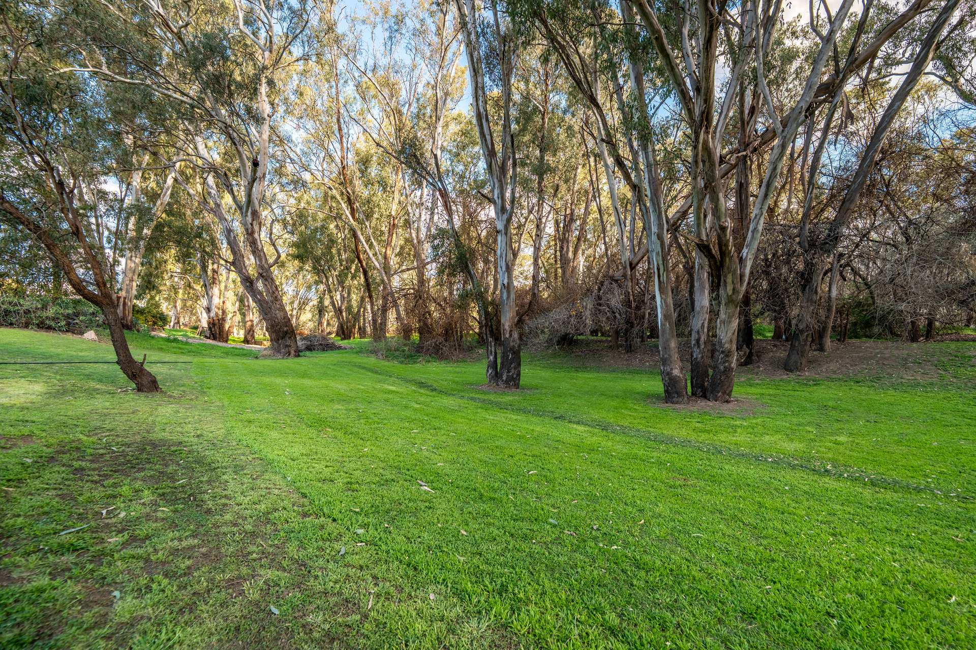 8791 Lachlan Valley Way, Forbes Auction by Farmbuy.com - image 28