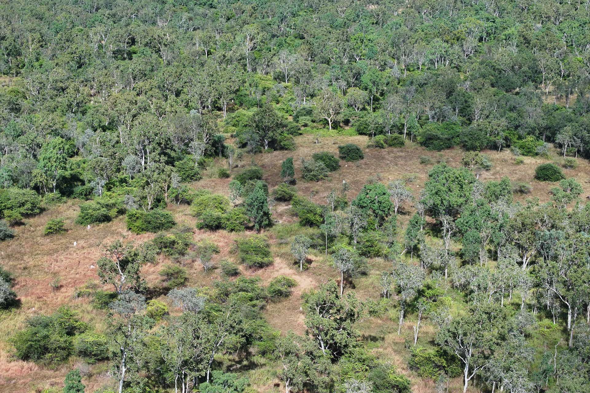 67 Maconachies Road, Majors Creek Auction by Farmbuy.com - image 6